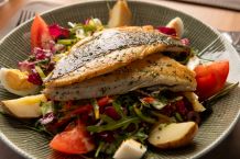 SALATA (main course)